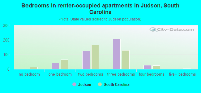 Bedrooms in renter-occupied apartments in Judson, South Carolina