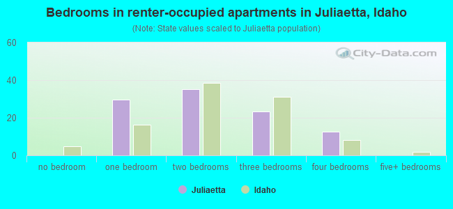 Bedrooms in renter-occupied apartments in Juliaetta, Idaho