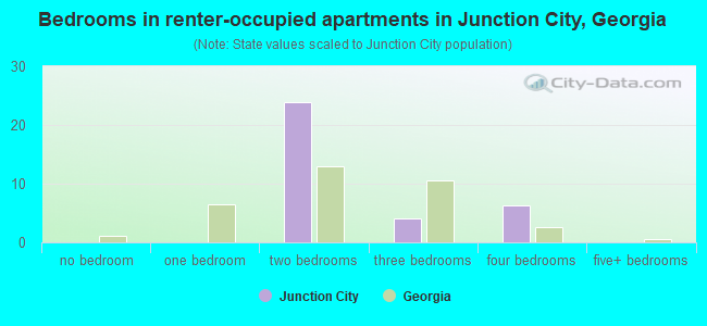 Bedrooms in renter-occupied apartments in Junction City, Georgia
