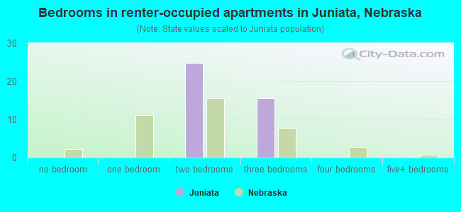 Bedrooms in renter-occupied apartments in Juniata, Nebraska