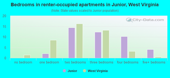 Bedrooms in renter-occupied apartments in Junior, West Virginia