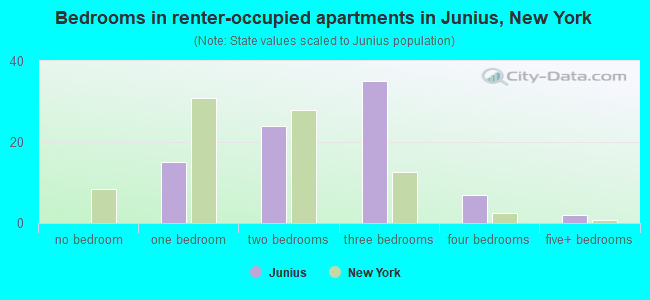 Bedrooms in renter-occupied apartments in Junius, New York