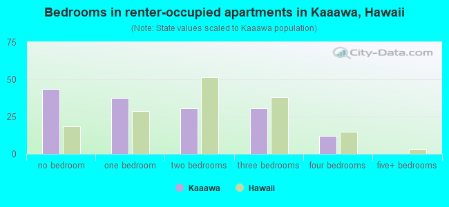 Bedrooms in renter-occupied apartments in Kaaawa, Hawaii