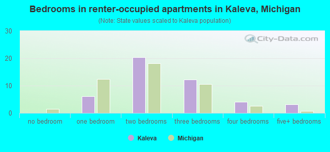 Bedrooms in renter-occupied apartments in Kaleva, Michigan