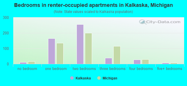 Bedrooms in renter-occupied apartments in Kalkaska, Michigan