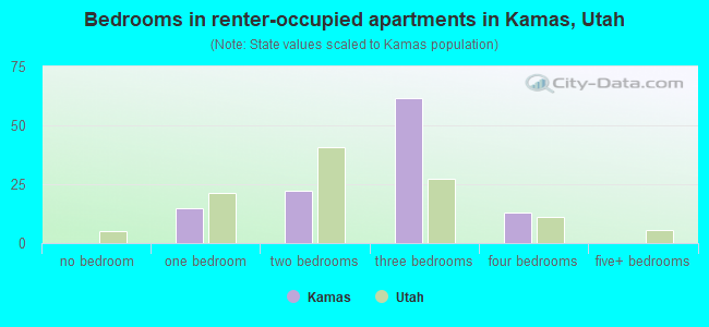 Bedrooms in renter-occupied apartments in Kamas, Utah