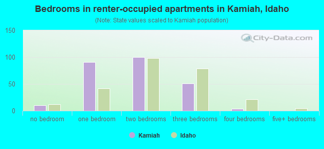 Bedrooms in renter-occupied apartments in Kamiah, Idaho