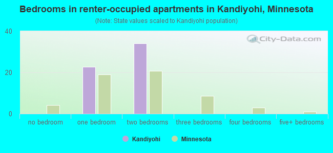 Bedrooms in renter-occupied apartments in Kandiyohi, Minnesota