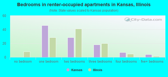 Bedrooms in renter-occupied apartments in Kansas, Illinois