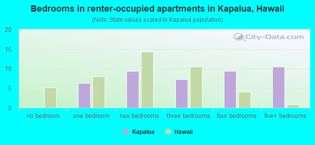 Bedrooms in renter-occupied apartments in Kapalua, Hawaii