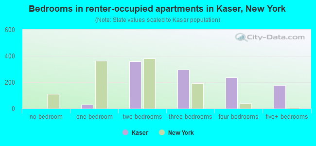 Bedrooms in renter-occupied apartments in Kaser, New York