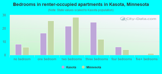 Bedrooms in renter-occupied apartments in Kasota, Minnesota