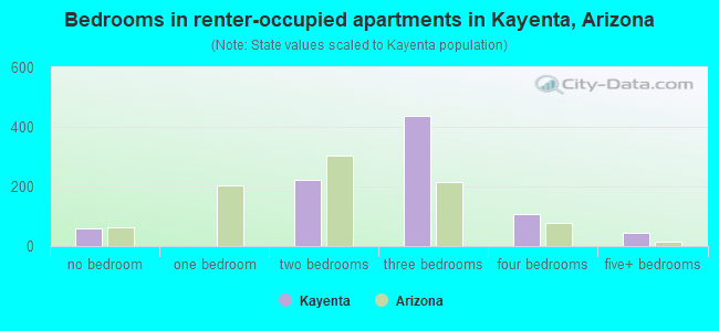 Bedrooms in renter-occupied apartments in Kayenta, Arizona