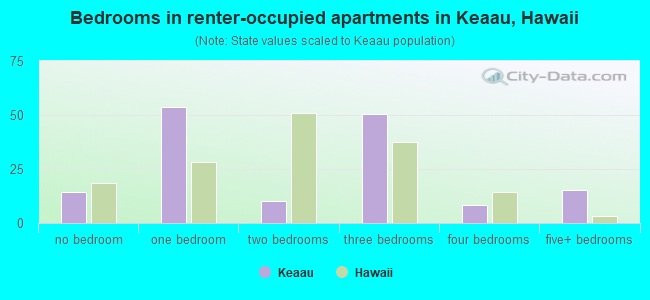 Bedrooms in renter-occupied apartments in Keaau, Hawaii