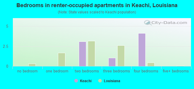 Bedrooms in renter-occupied apartments in Keachi, Louisiana