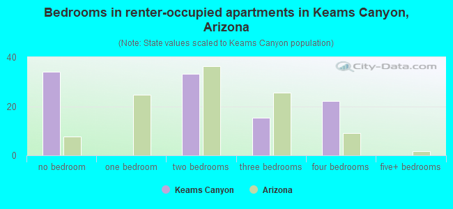 Bedrooms in renter-occupied apartments in Keams Canyon, Arizona