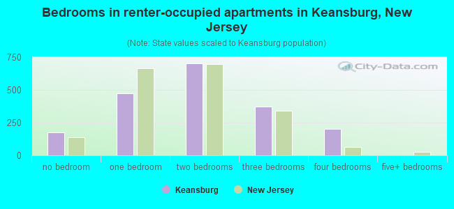 Bedrooms in renter-occupied apartments in Keansburg, New Jersey