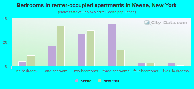Bedrooms in renter-occupied apartments in Keene, New York