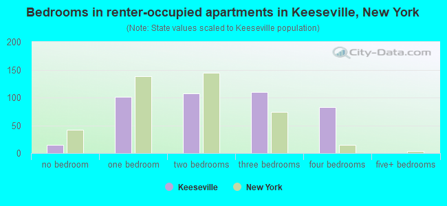 Bedrooms in renter-occupied apartments in Keeseville, New York