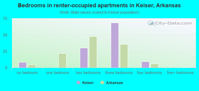 Bedrooms in renter-occupied apartments in Keiser, Arkansas