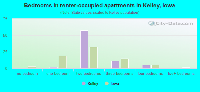 Bedrooms in renter-occupied apartments in Kelley, Iowa