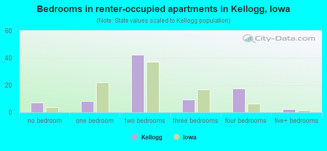 Bedrooms in renter-occupied apartments in Kellogg, Iowa