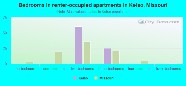 Bedrooms in renter-occupied apartments in Kelso, Missouri