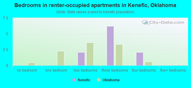 Bedrooms in renter-occupied apartments in Kenefic, Oklahoma
