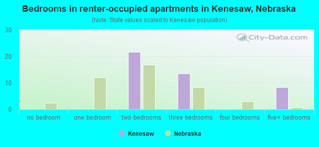 Bedrooms in renter-occupied apartments in Kenesaw, Nebraska