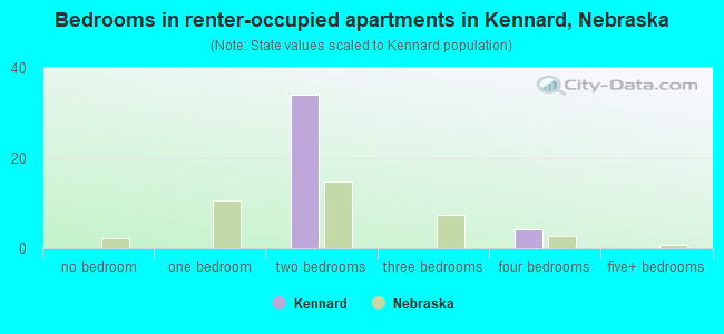 Bedrooms in renter-occupied apartments in Kennard, Nebraska