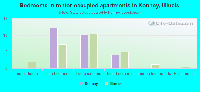 Bedrooms in renter-occupied apartments in Kenney, Illinois