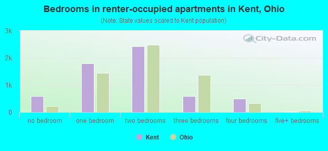 Bedrooms in renter-occupied apartments in Kent, Ohio