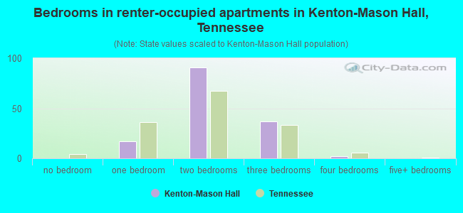 Bedrooms in renter-occupied apartments in Kenton-Mason Hall, Tennessee