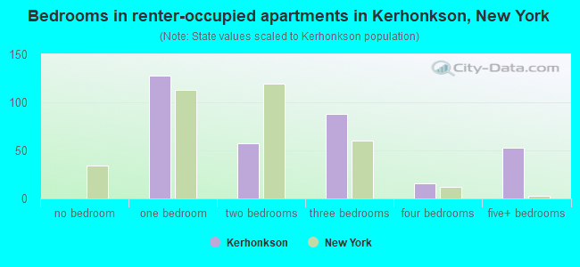 Bedrooms in renter-occupied apartments in Kerhonkson, New York