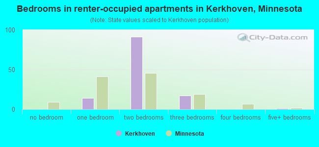 Bedrooms in renter-occupied apartments in Kerkhoven, Minnesota