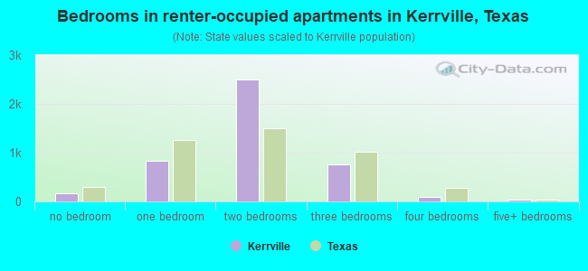 Bedrooms in renter-occupied apartments in Kerrville, Texas