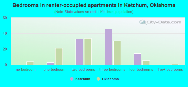 Bedrooms in renter-occupied apartments in Ketchum, Oklahoma