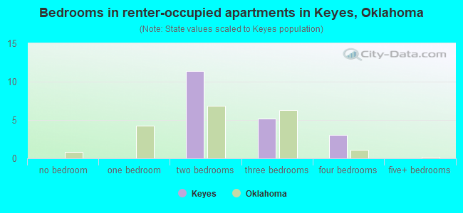 Bedrooms in renter-occupied apartments in Keyes, Oklahoma