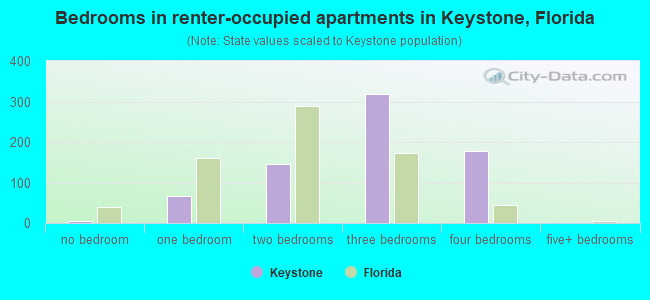Bedrooms in renter-occupied apartments in Keystone, Florida