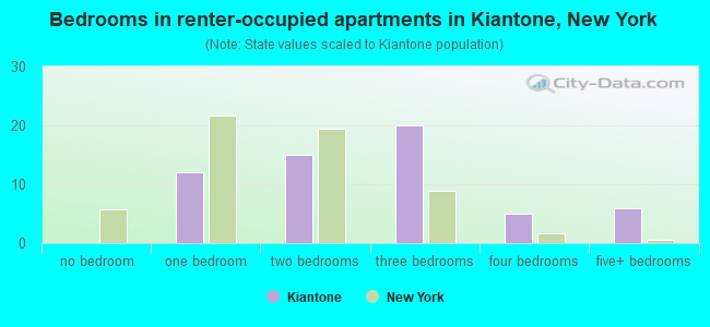 Bedrooms in renter-occupied apartments in Kiantone, New York