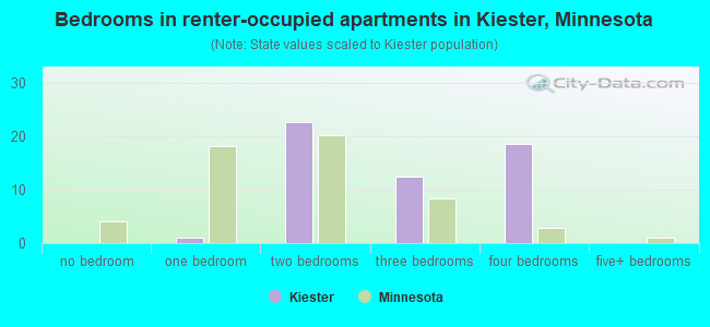 Bedrooms in renter-occupied apartments in Kiester, Minnesota