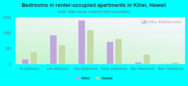 Bedrooms in renter-occupied apartments in Kihei, Hawaii