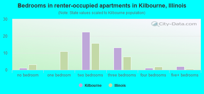 Bedrooms in renter-occupied apartments in Kilbourne, Illinois