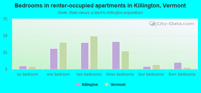 Bedrooms in renter-occupied apartments in Killington, Vermont