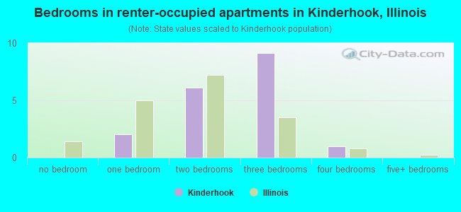 Bedrooms in renter-occupied apartments in Kinderhook, Illinois