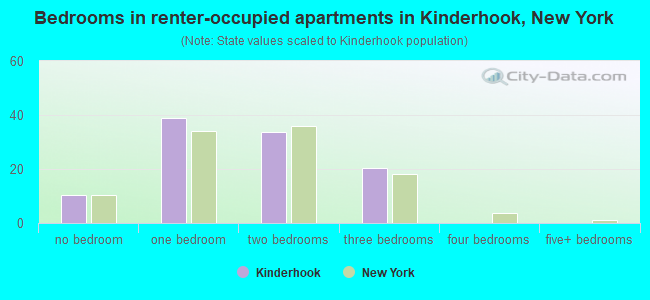 Bedrooms in renter-occupied apartments in Kinderhook, New York