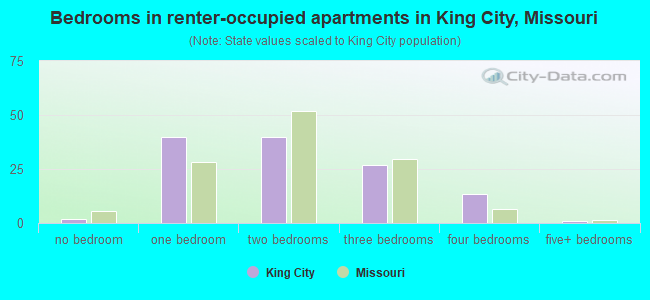 Bedrooms in renter-occupied apartments in King City, Missouri