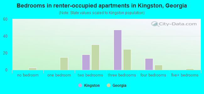 Bedrooms in renter-occupied apartments in Kingston, Georgia
