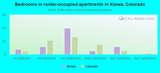 Bedrooms in renter-occupied apartments in Kiowa, Colorado