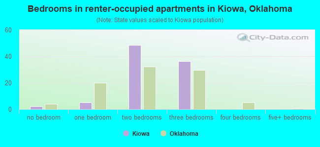 Bedrooms in renter-occupied apartments in Kiowa, Oklahoma